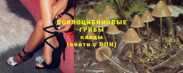 гашиш Магас