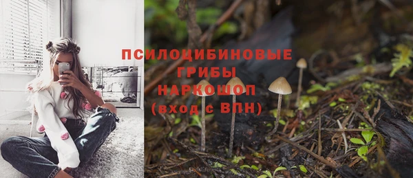 гашиш Магас