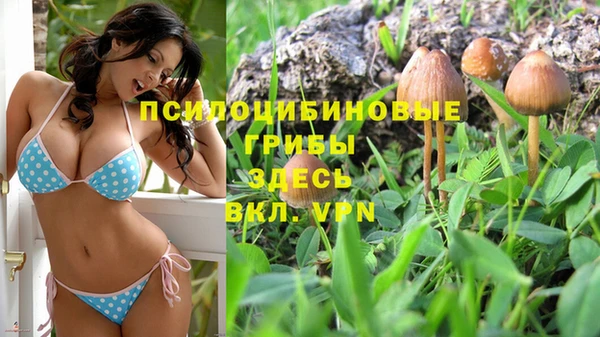 гашиш Магас